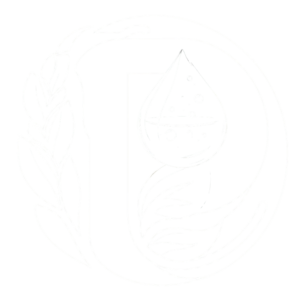 Pippalad Logo Outlined Version